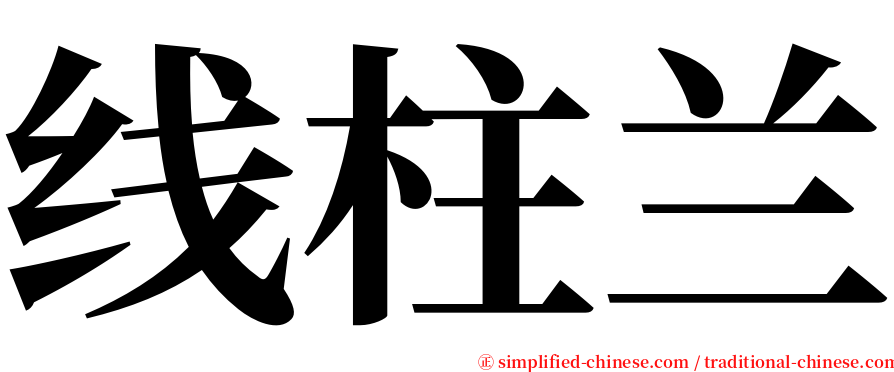 线柱兰 serif font