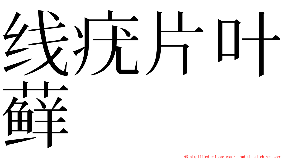 线疣片叶藓 ming font