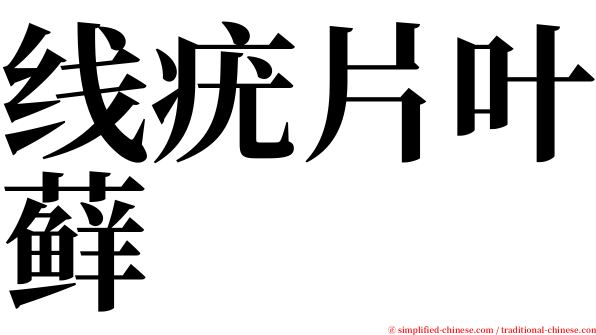 线疣片叶藓 serif font