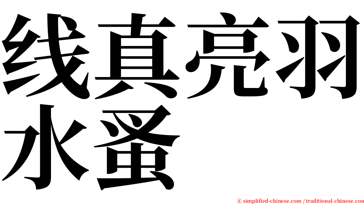 线真亮羽水蚤 serif font