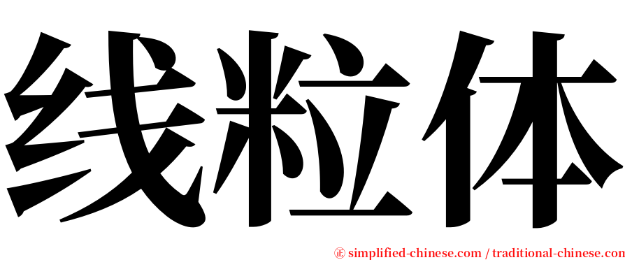 线粒体 serif font