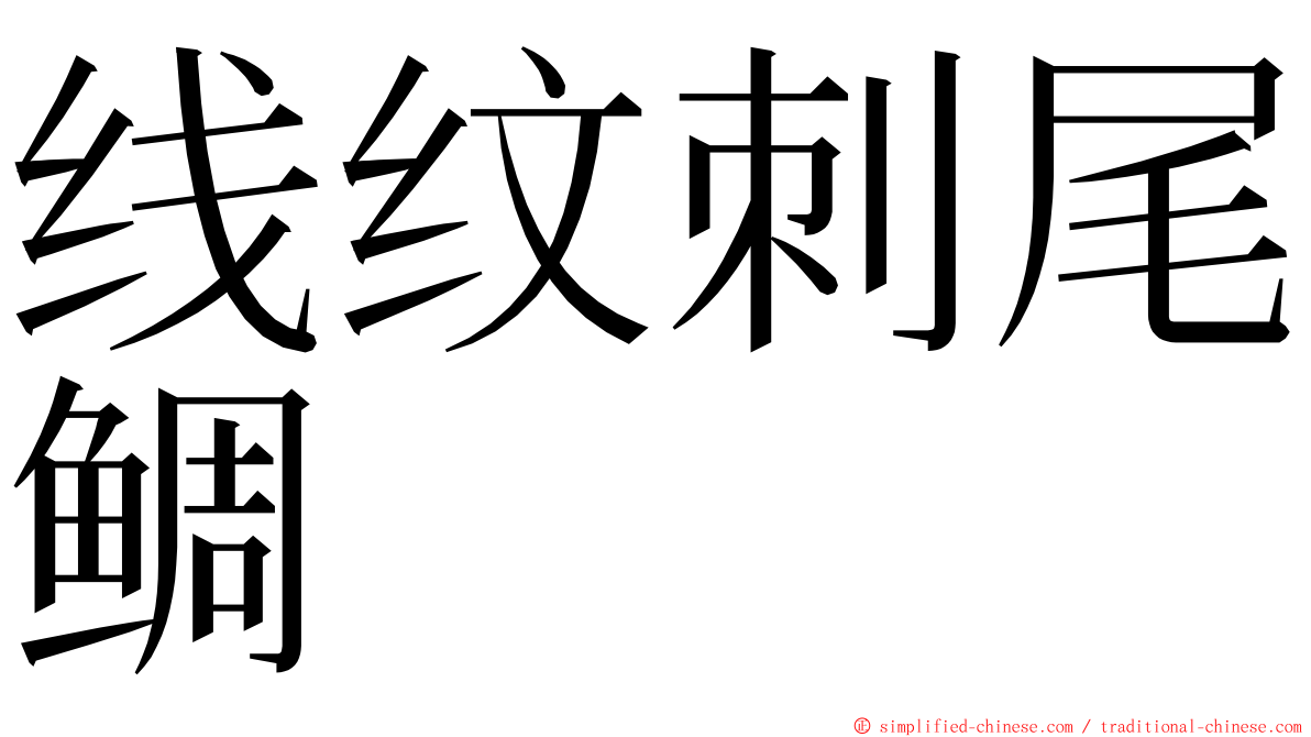 线纹刺尾鲷 ming font