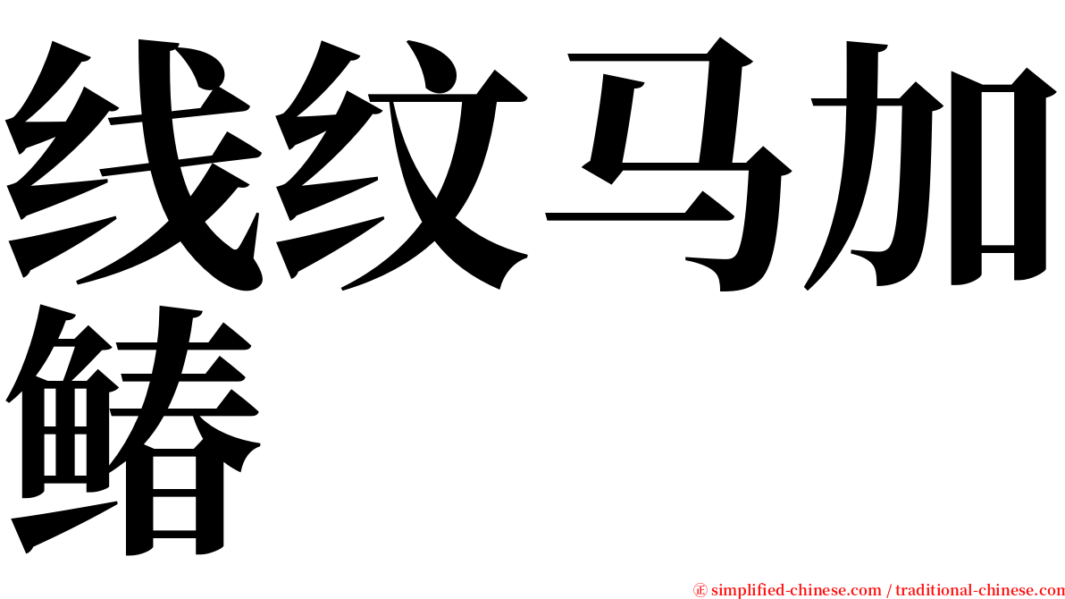 线纹马加䲠 serif font