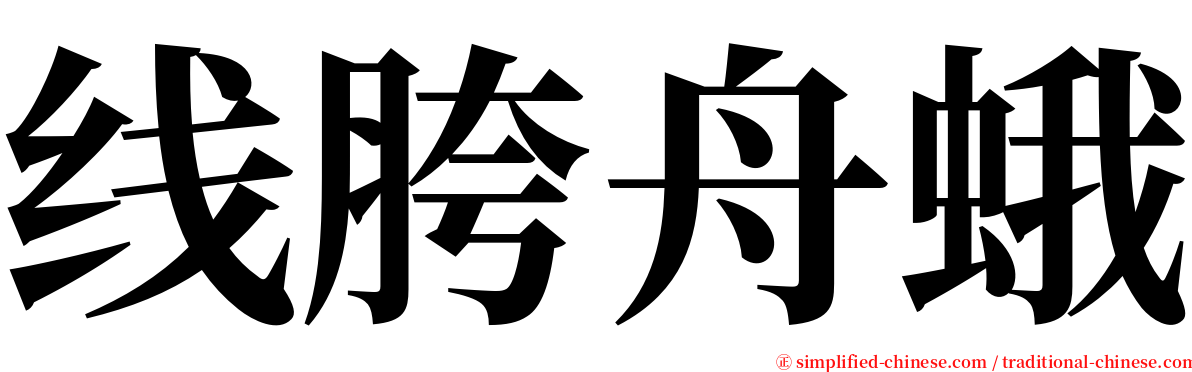 线胯舟蛾 serif font