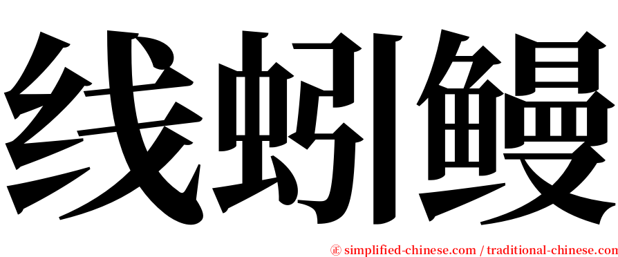 线蚓鳗 serif font