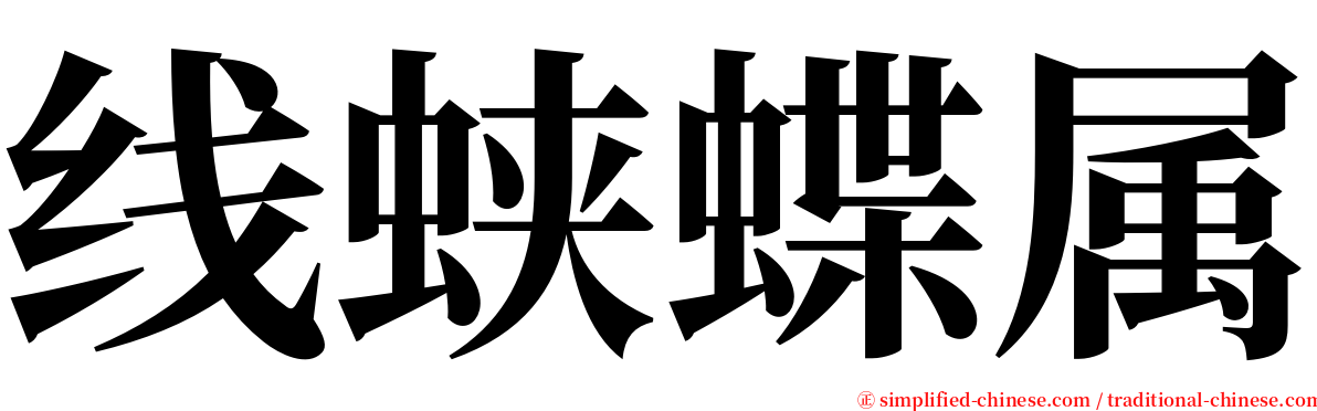 线蛱蝶属 serif font