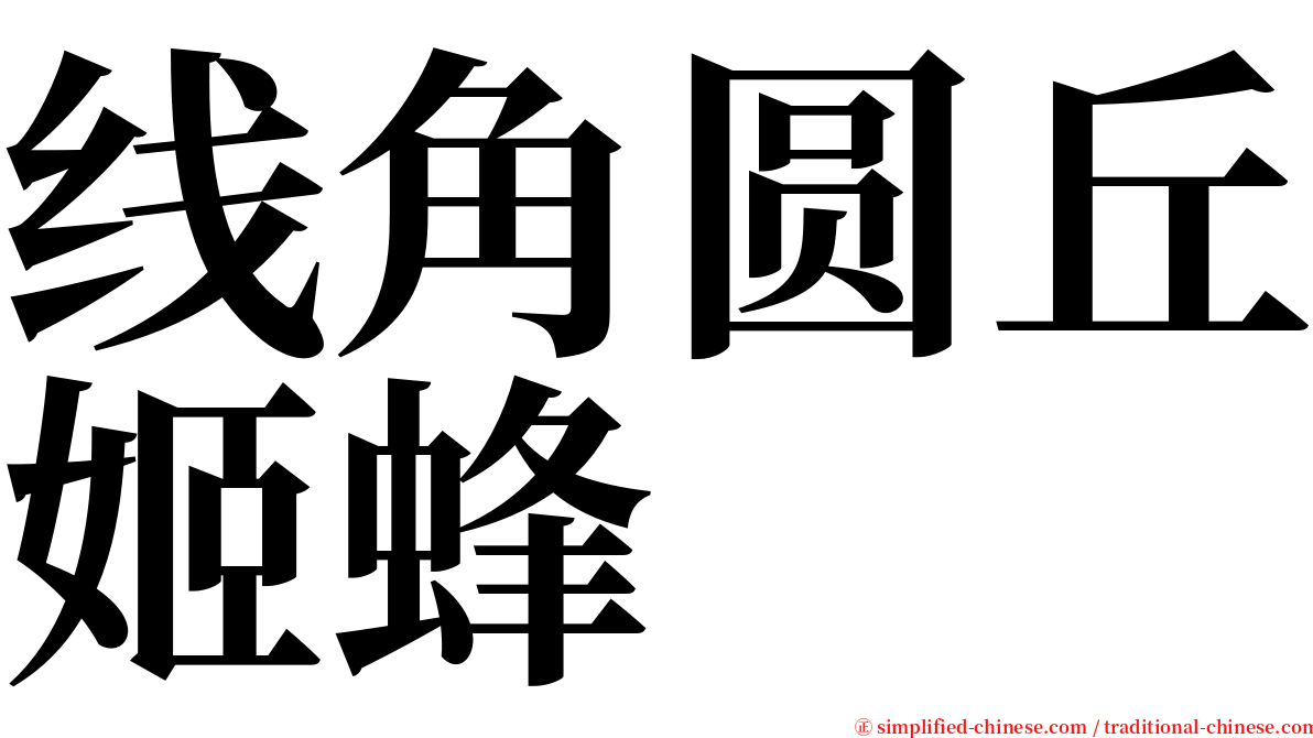 线角圆丘姬蜂 serif font