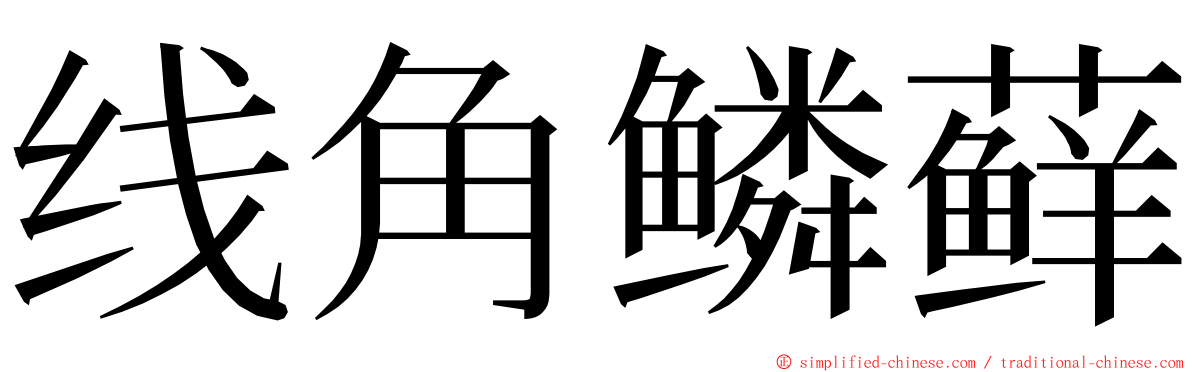 线角鳞藓 ming font