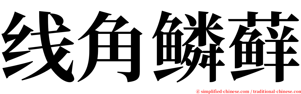 线角鳞藓 serif font