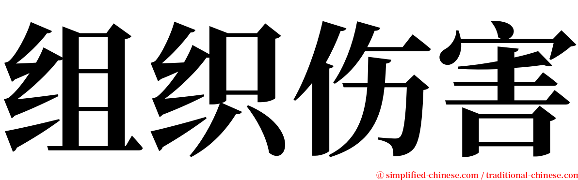 组织伤害 serif font