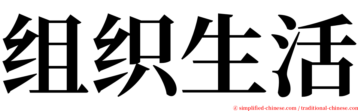 组织生活 serif font