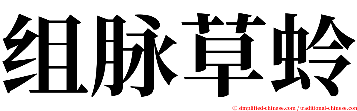 组脉草蛉 serif font