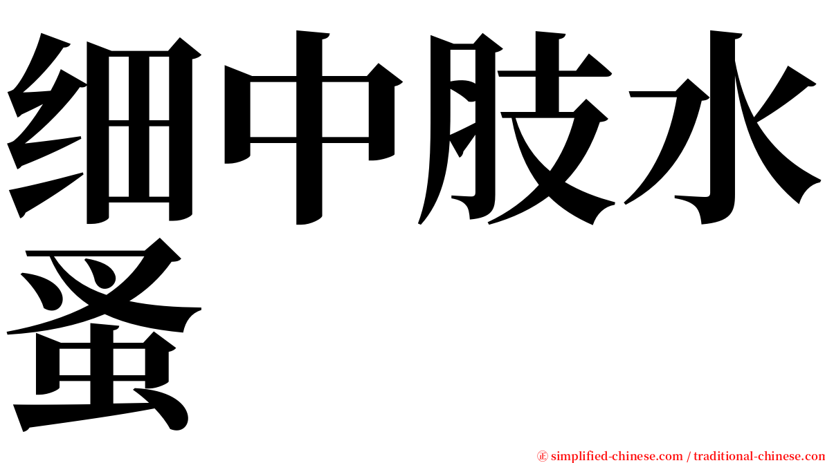 细中肢水蚤 serif font