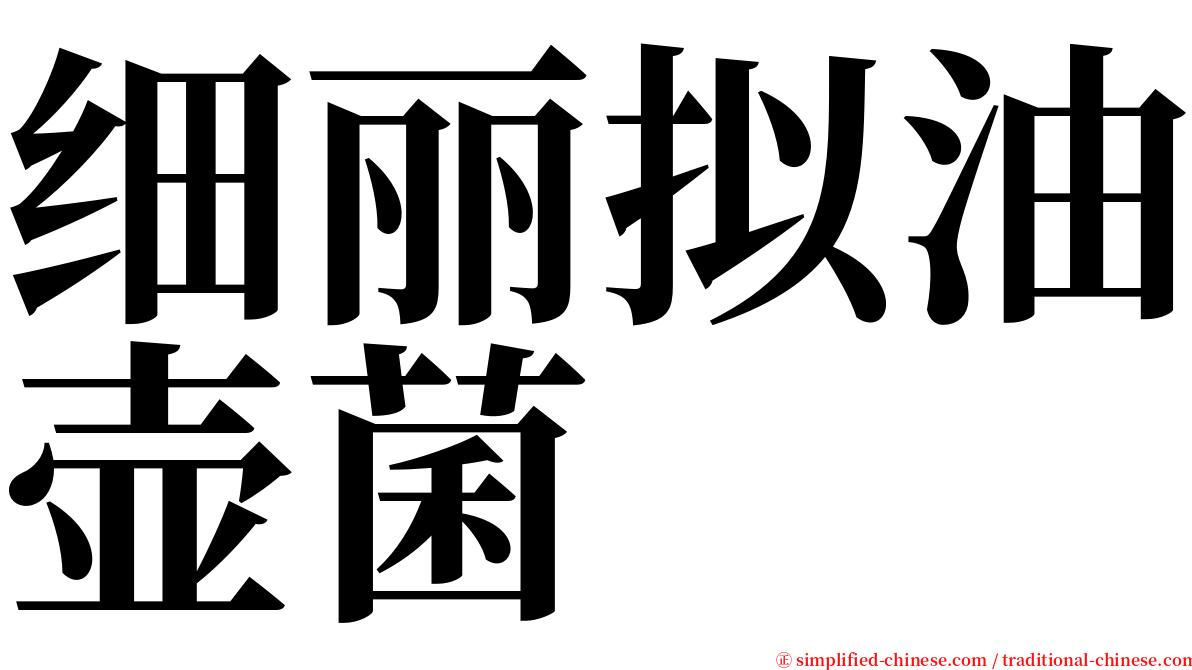 细丽拟油壶菌 serif font