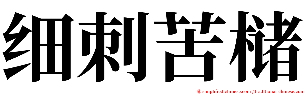 细刺苦槠 serif font