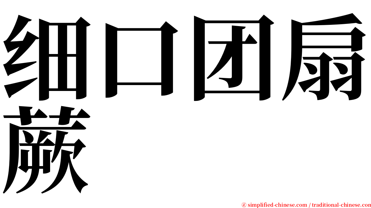 细口团扇蕨 serif font