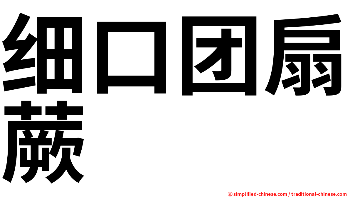 细口团扇蕨