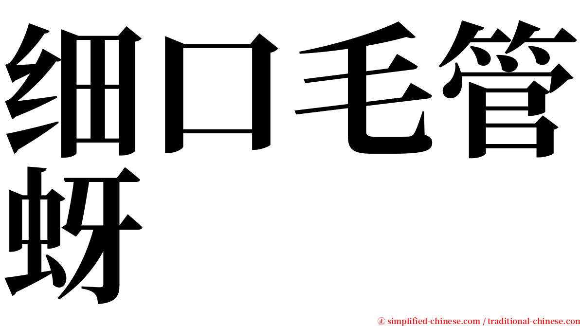 细口毛管蚜 serif font