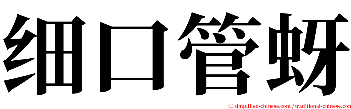 细口管蚜 serif font