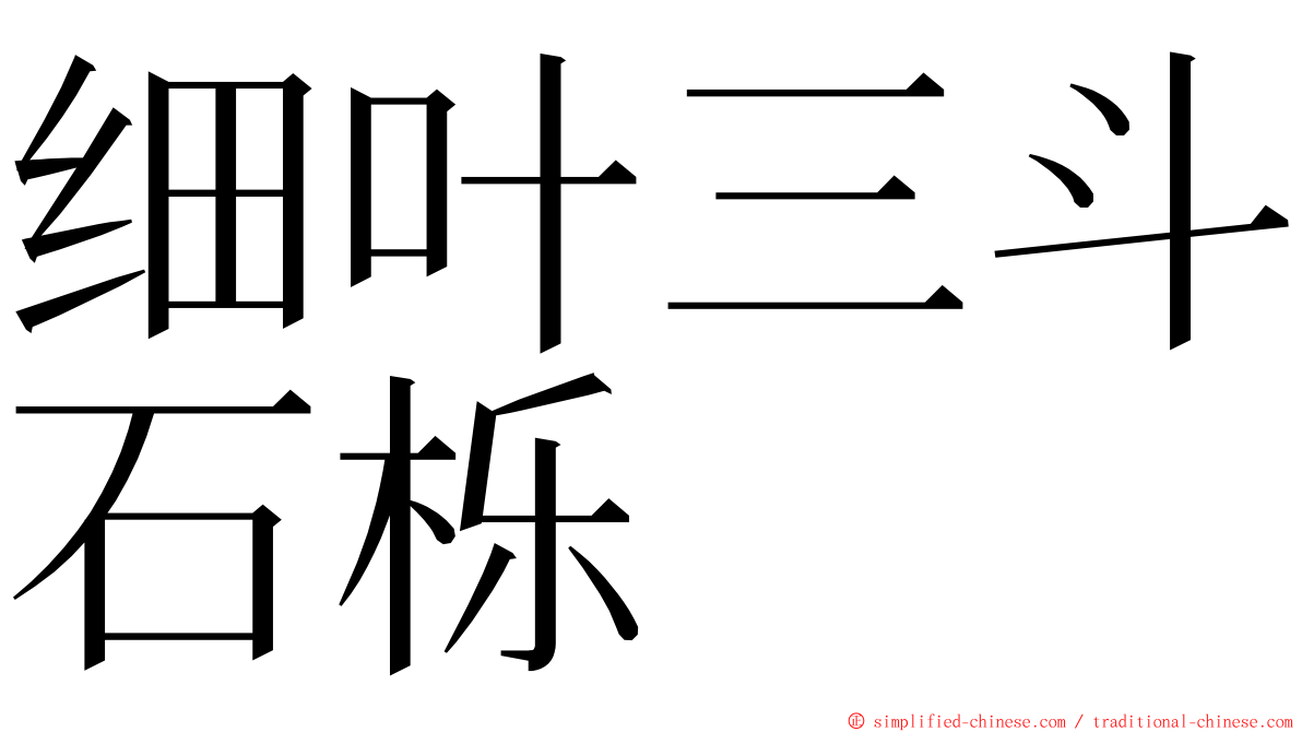 细叶三斗石栎 ming font