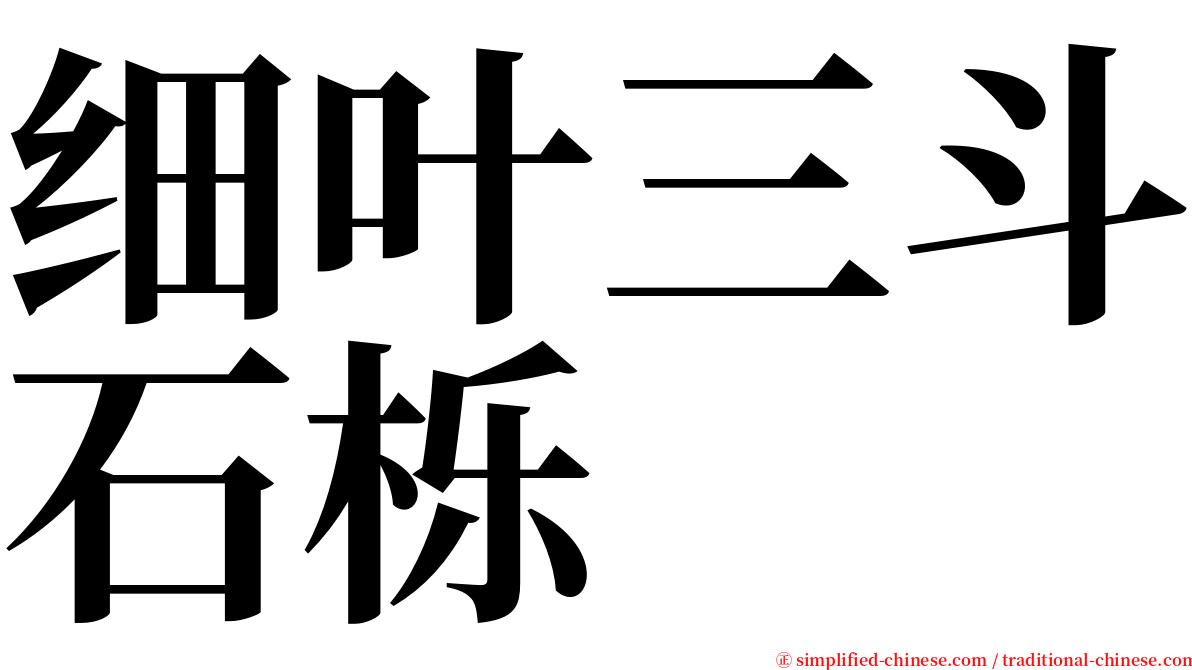 细叶三斗石栎 serif font