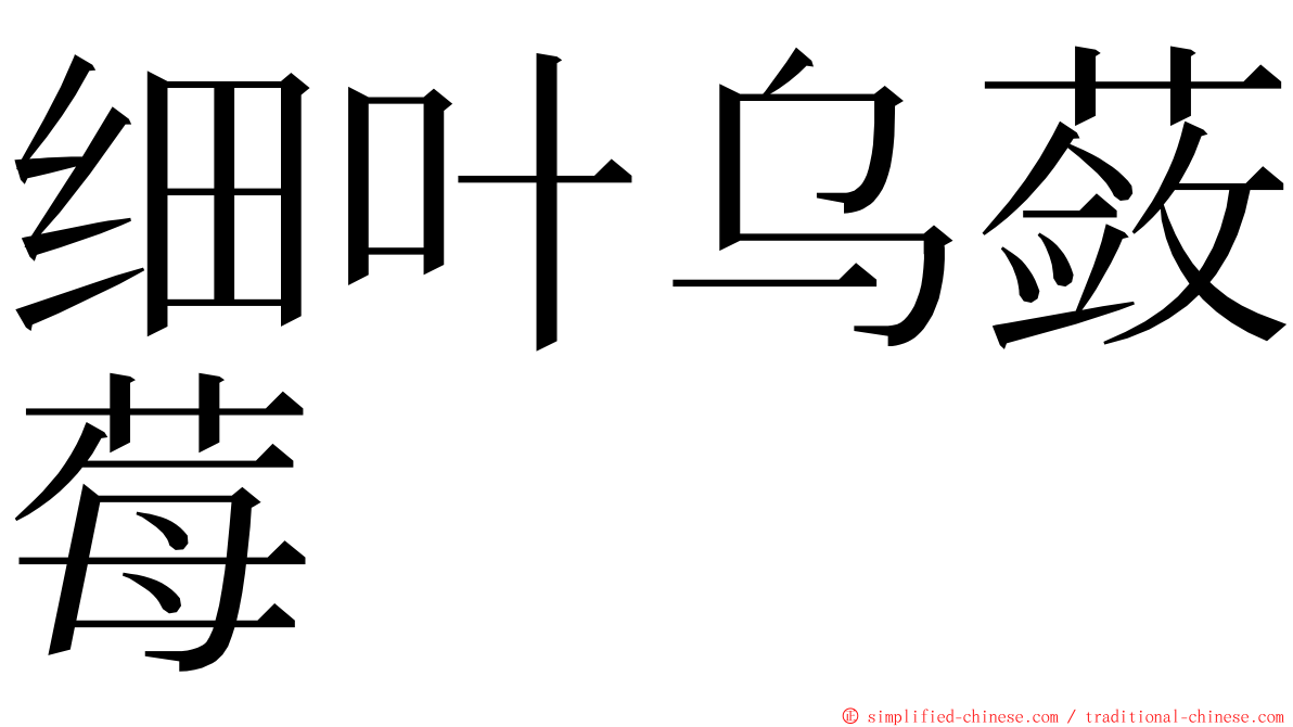 细叶乌蔹莓 ming font