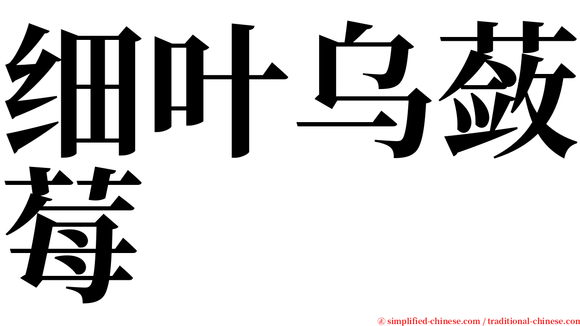 细叶乌蔹莓 serif font