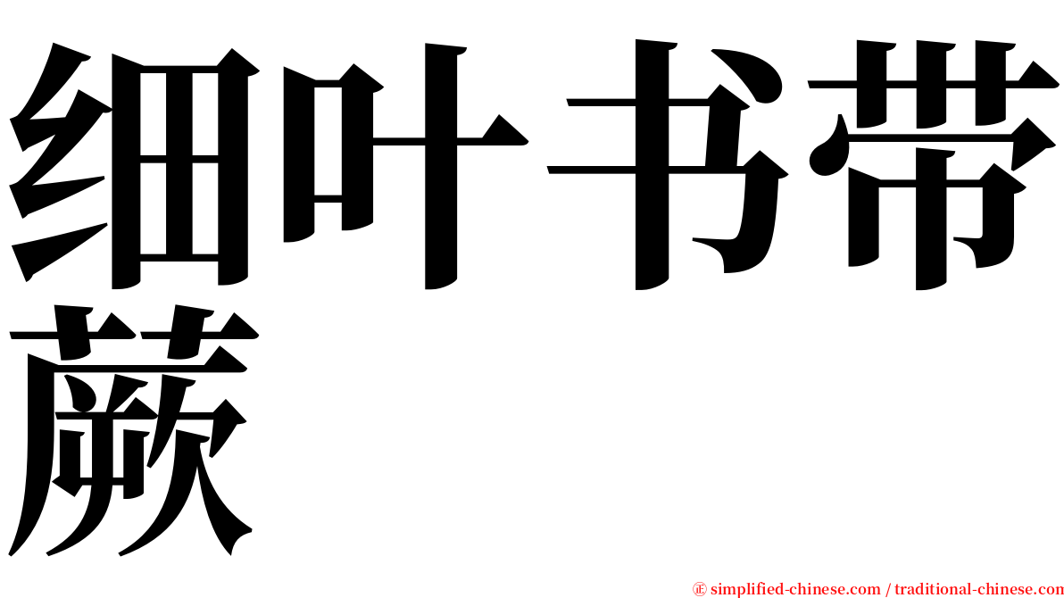 细叶书带蕨 serif font