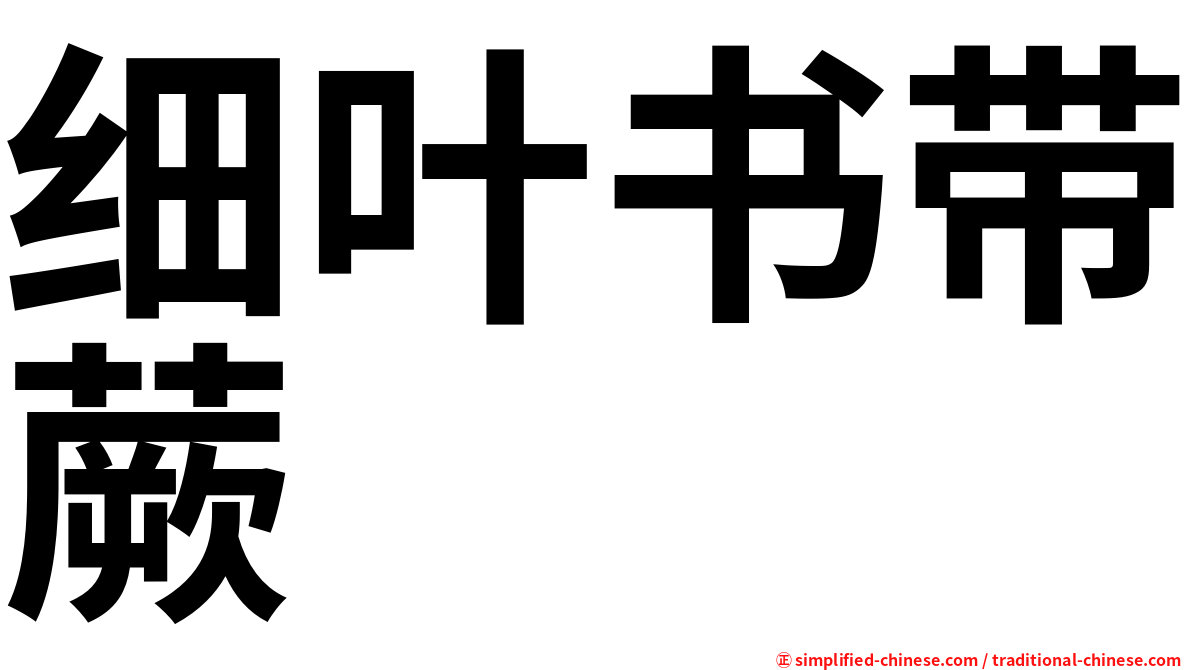 细叶书带蕨