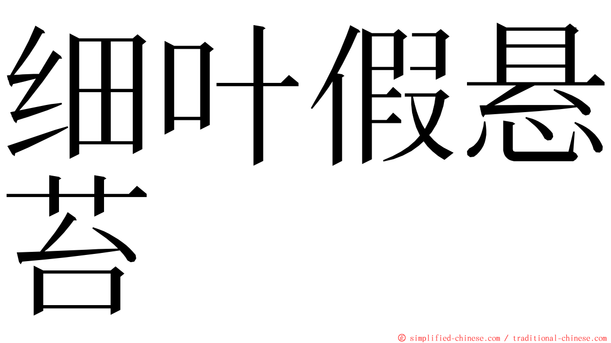 细叶假悬苔 ming font