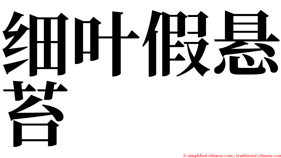 细叶假悬苔 serif font