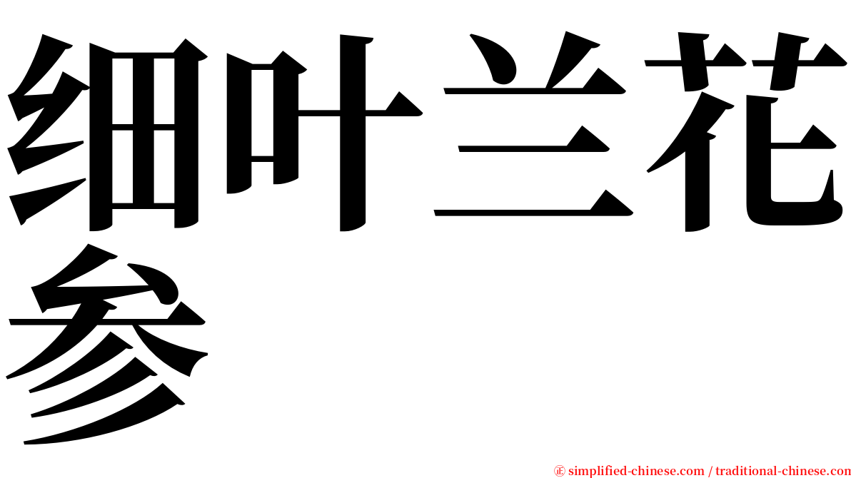 细叶兰花参 serif font