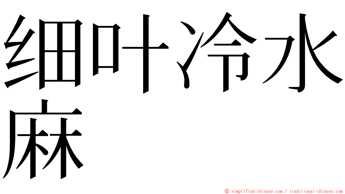 细叶冷水麻 ming font