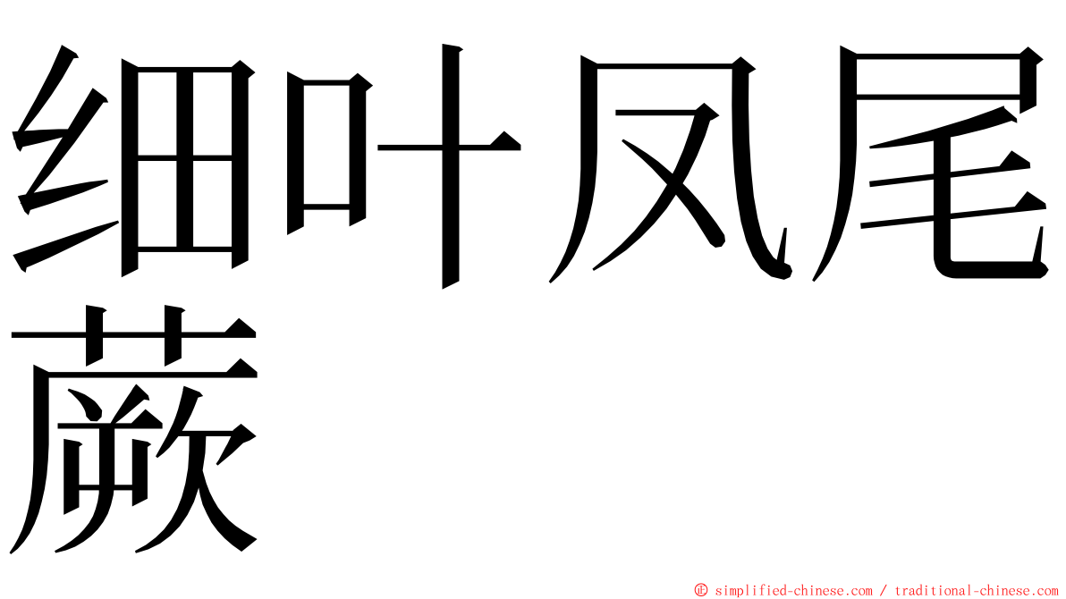 细叶凤尾蕨 ming font