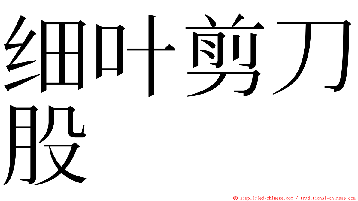 细叶剪刀股 ming font