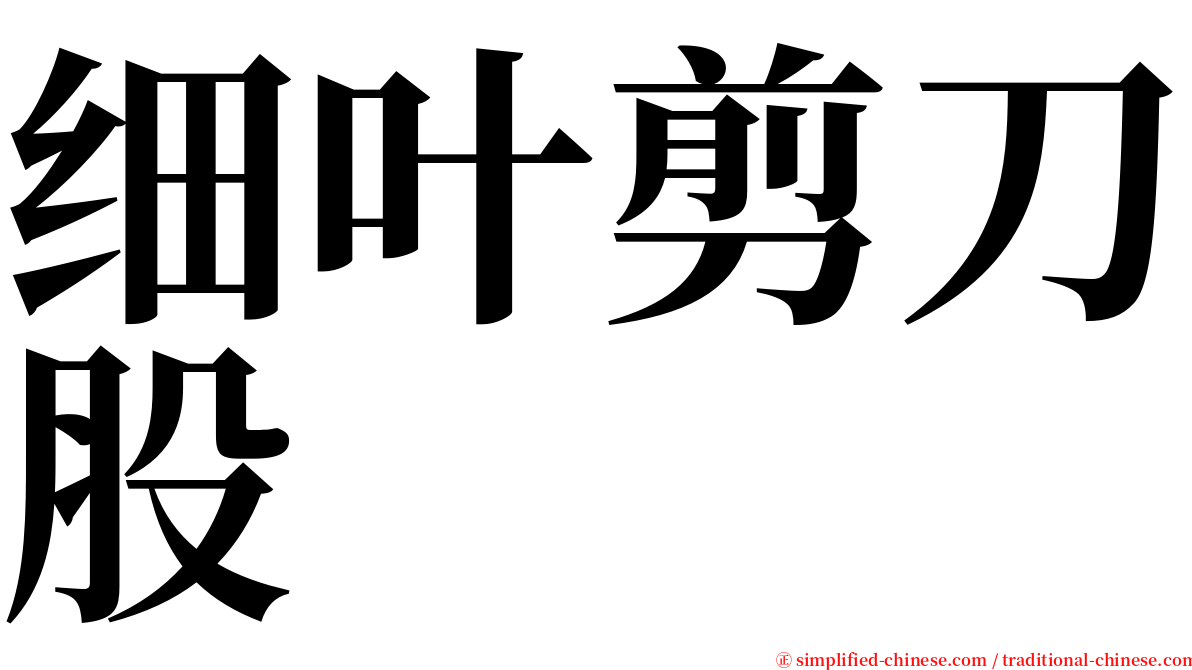 细叶剪刀股 serif font