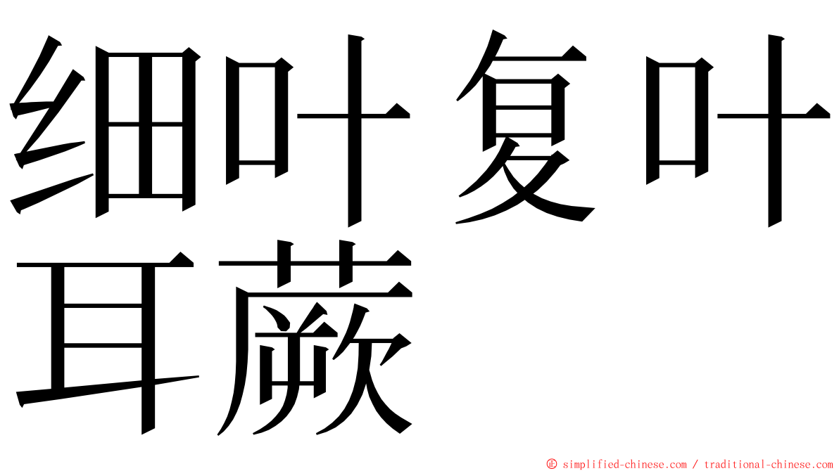 细叶复叶耳蕨 ming font