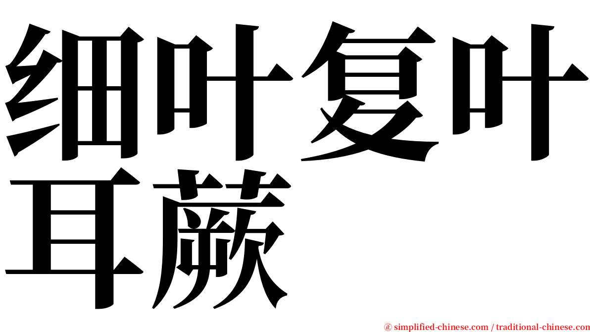 细叶复叶耳蕨 serif font