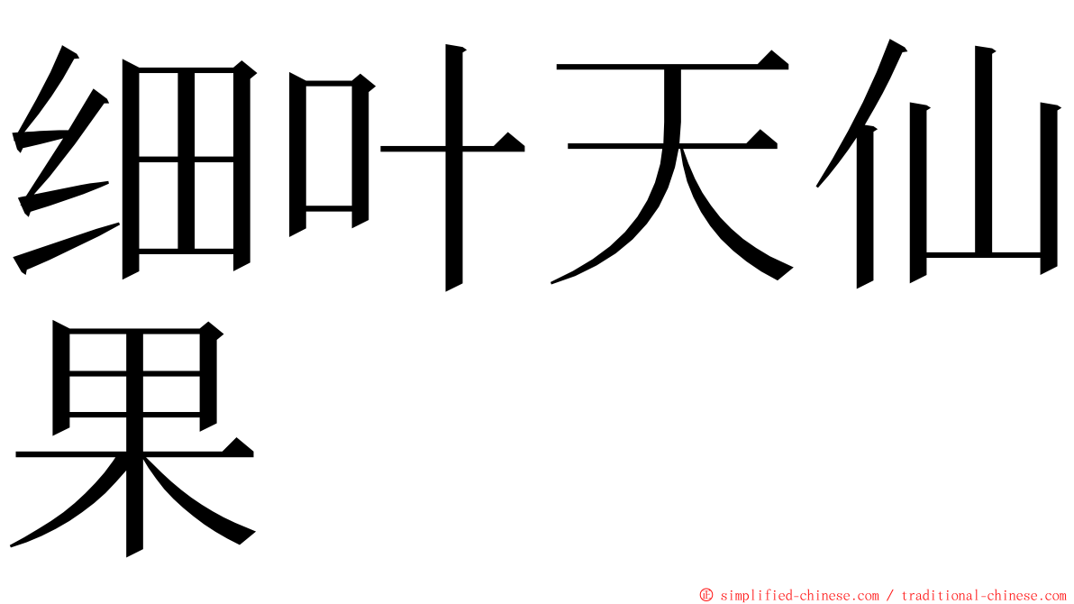 细叶天仙果 ming font