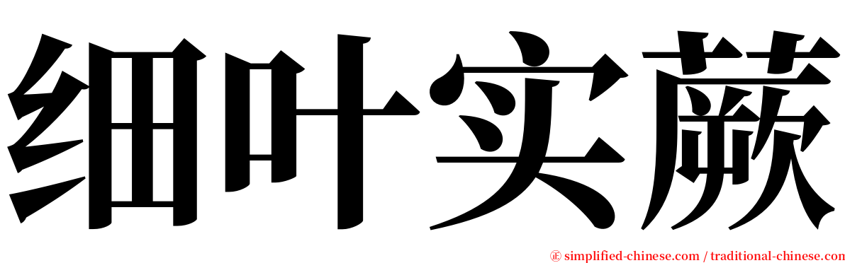 细叶实蕨 serif font