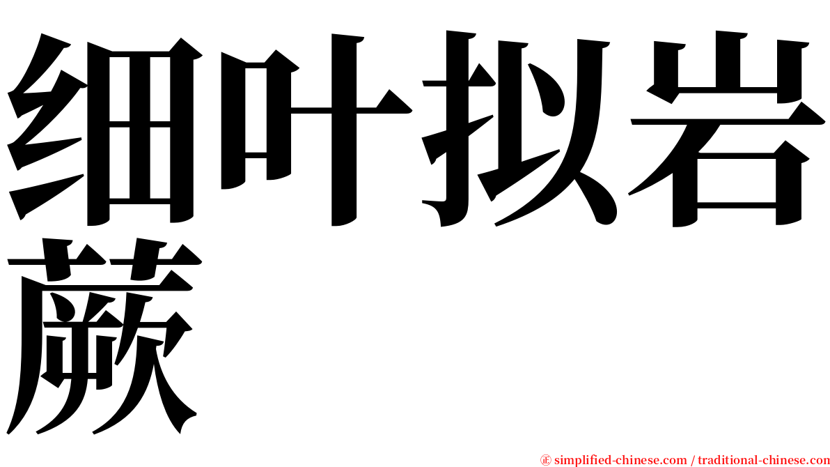 细叶拟岩蕨 serif font