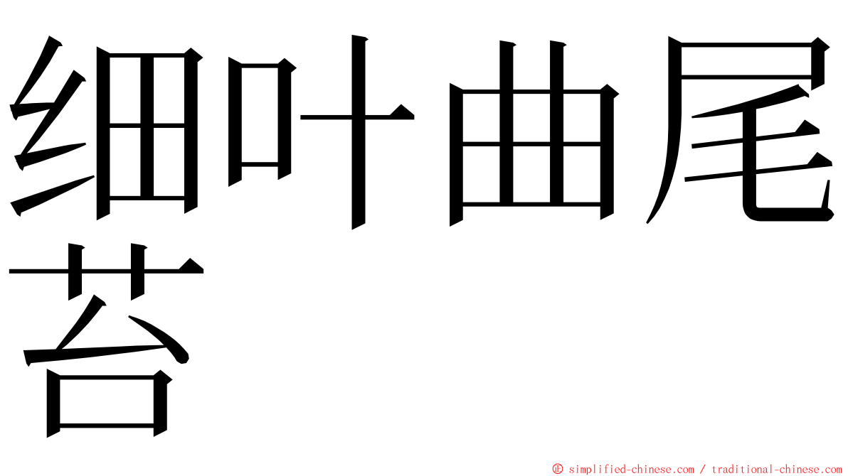 细叶曲尾苔 ming font