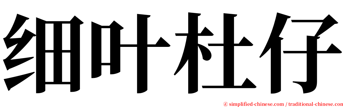 细叶杜仔 serif font