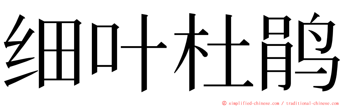 细叶杜鹃 ming font