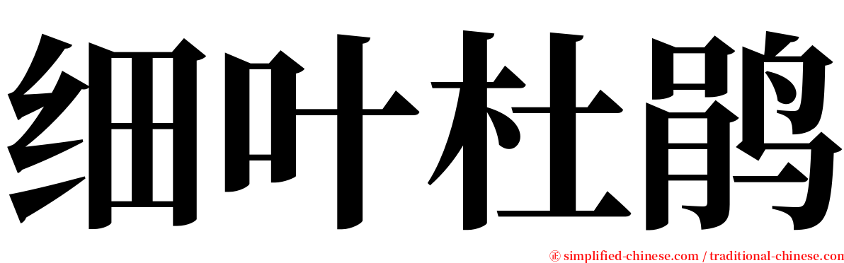 细叶杜鹃 serif font