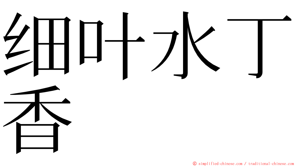 细叶水丁香 ming font