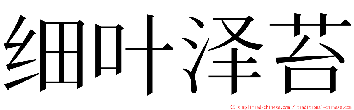 细叶泽苔 ming font