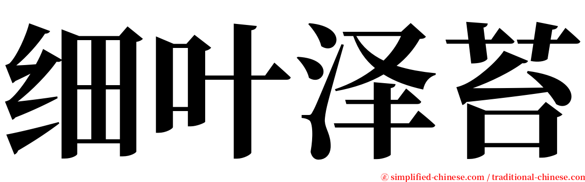 细叶泽苔 serif font