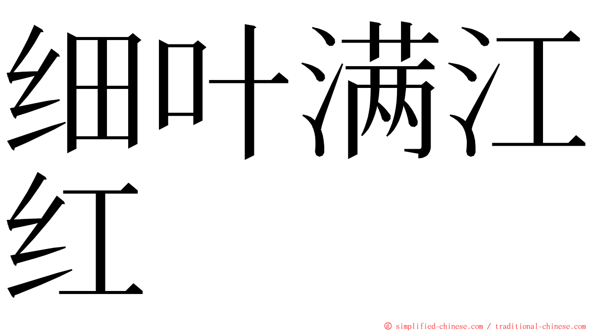 细叶满江红 ming font