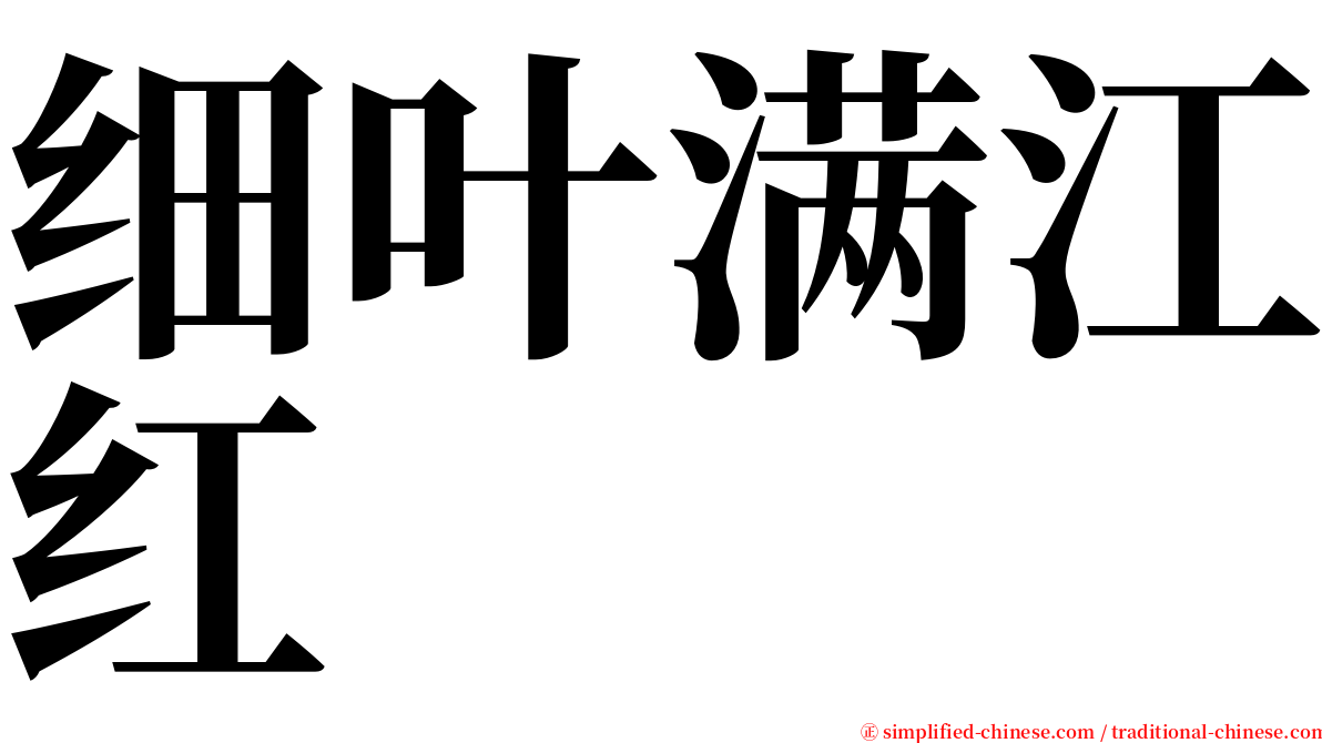 细叶满江红 serif font